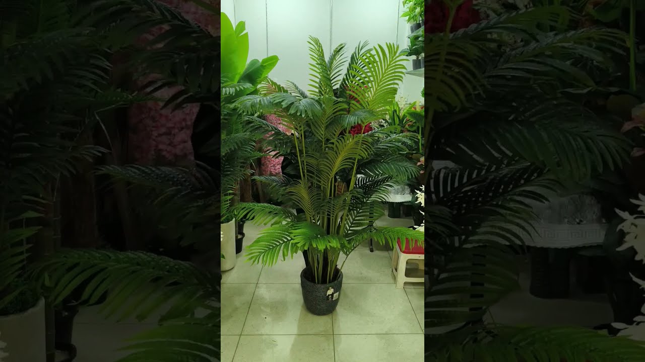 Beautiful Palm Tree In 6 Ft Guess Original Or Artificial Plants Fgcstore Homedecor