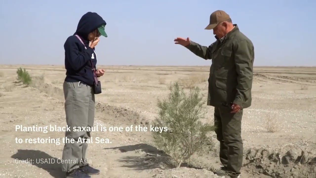 The Aral Sea’s Rebirth: Hope Blooms