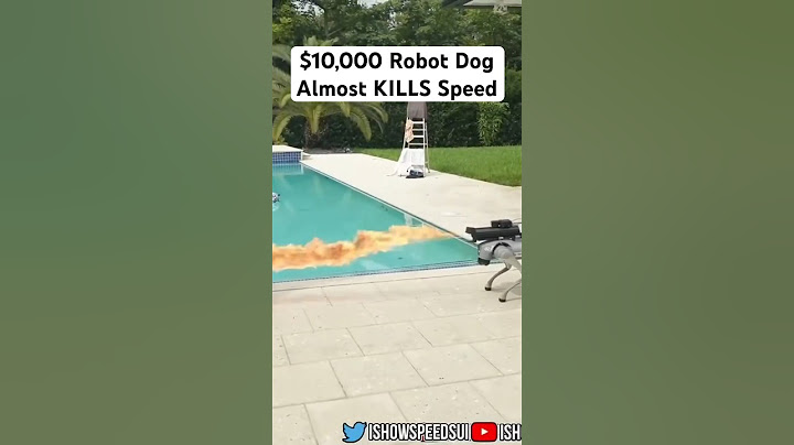 Flamethrower Dog tries to KILL IShowSpeed! #speed #ishowspeed #streamer