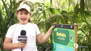 Diveramigos Zoologico De Cali 2018 Parte Ii