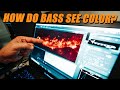 How do Bass See Color?