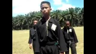 PSHT UKUI Tes sabuk putih 2014 @ air emas   YouTube
