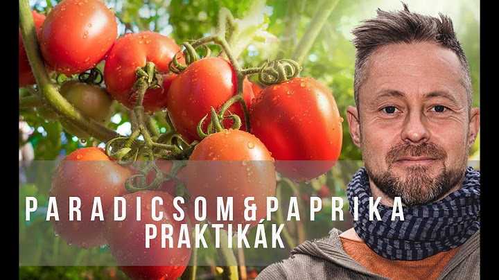 Márk paprikát & paradicsomot ültet