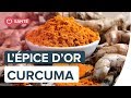 Curcuma  les bienfaits de lpiceracine or