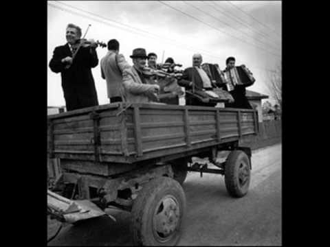 Güllü - Kasımpaşalı