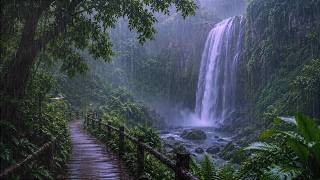 Relax Your Nervous System With Peaceful Rain and Forest Leaves Before Falling Into Deep Sleep screenshot 1