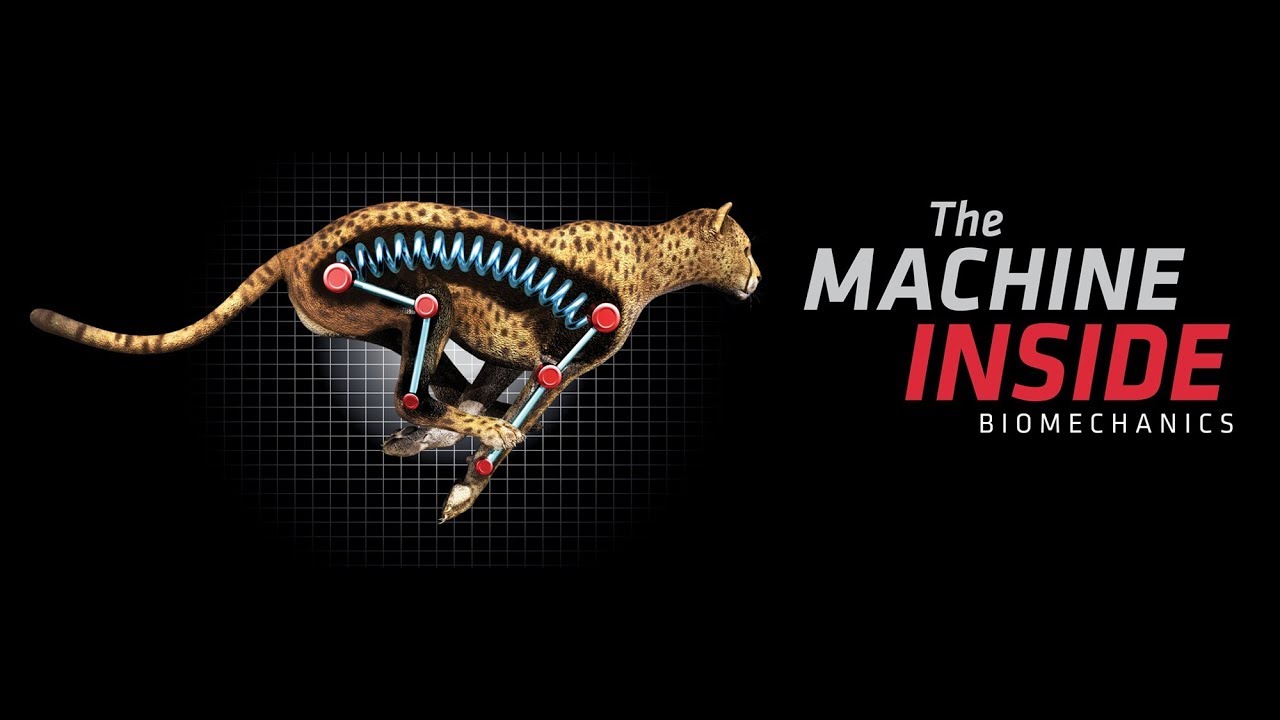 Biomechanics and Sports Class 12 Physical Education