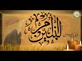 التوسل بأم البنين الأربعة عليها السلام لقضاء الحوائج التوسل بأم البنين الأربعة عليها السلام لقضاء الحوائج
