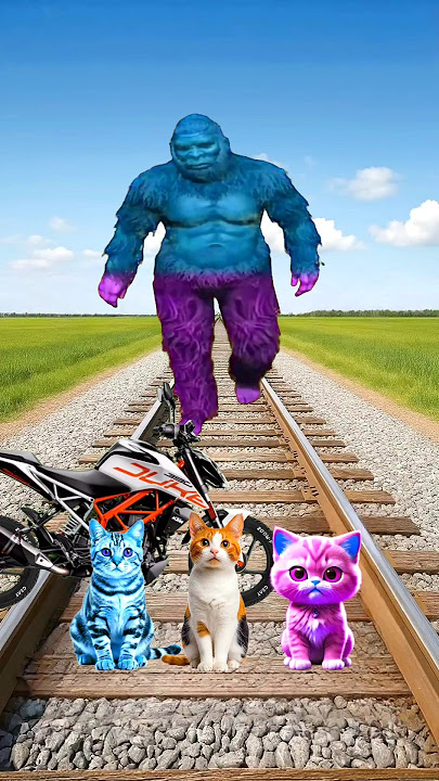 golden colors Cute cat & baby vs herdofbigfoot & train driver tom 😂#short😄