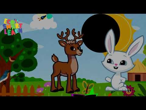 Ecosmartlearn Learning Series #cartoon #learning #kids #woodentoys - video from Ecosmartlearn
