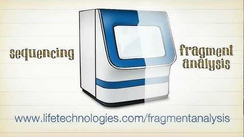 Fragment Analysis -- the Other Half of your Applied Biosystems