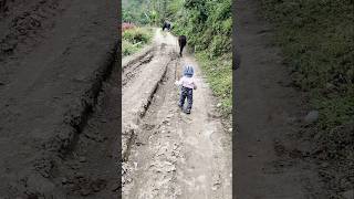 Bhoisi Gothala Gardei