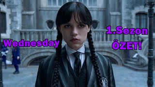 Wednesday 1. Sezon ÖZET! Kısa ve Öz