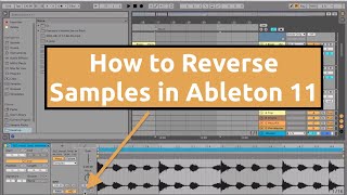 How to Reverse Samples in Ableton 11 Tutorial