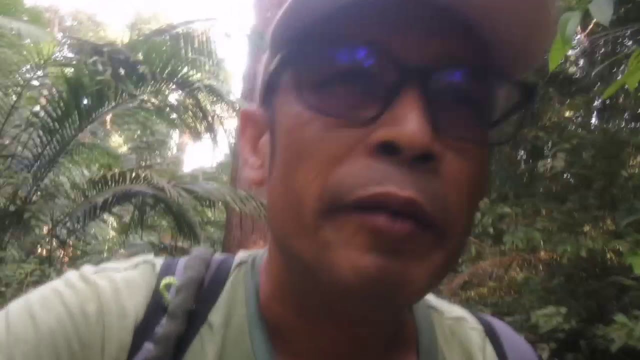 Hike Bukit Elvira Air Itam Dam Loop YouTube