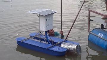 Lắp đặt thiết bị quan trắc và cảnh báo chất lượng nước ao nuôi cá tự động tại Vũng Liêm - Vĩnh Long