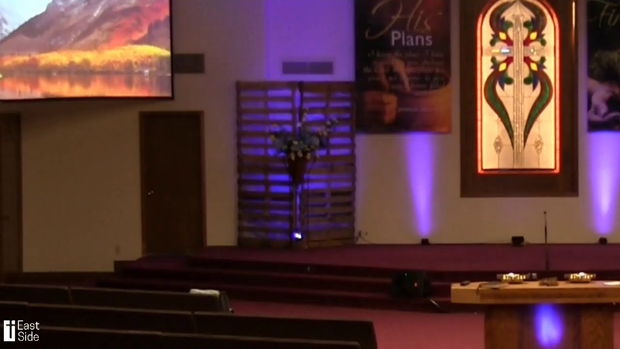 Matthew Stidham Live Stream