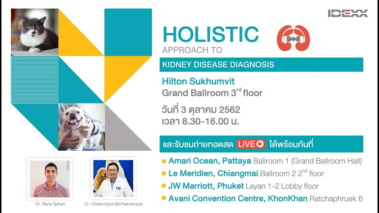 IDEXX seminar : Holistic Approach to Kidney disease diagnosis (PART 2)