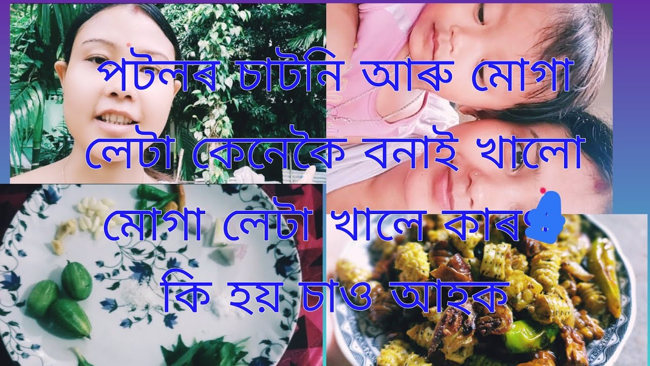 পটলৰ চাটনি আৰু মোগা লেটা কেনেকৈ বনাই খালো‌ চাও আহক।।muga leta n potol ...