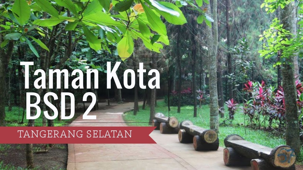 Taman Hutan Kota BSD: Menikmati Keindahan Alam di Tengah Perkotaan