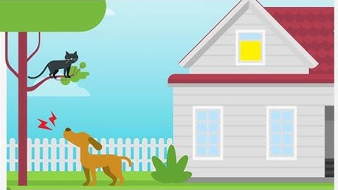 Braindom Level 236 The dog is barking calm him down walkthrough