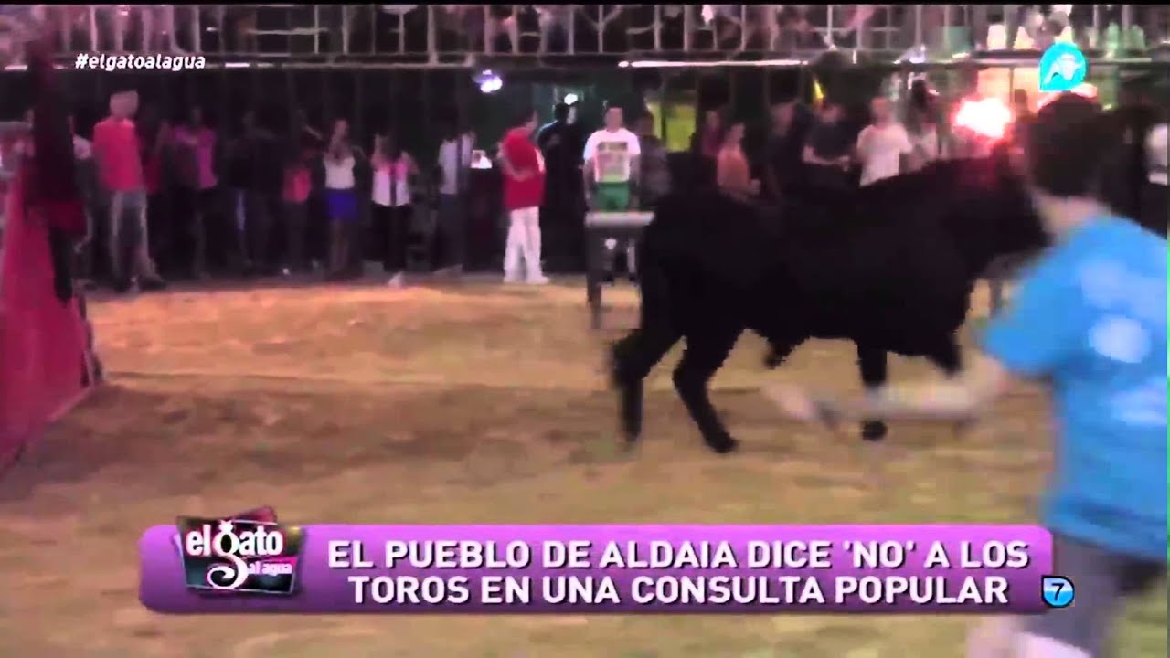 Tan solo la mitad de un pueblo antitaurino vota 'no' a los toros
