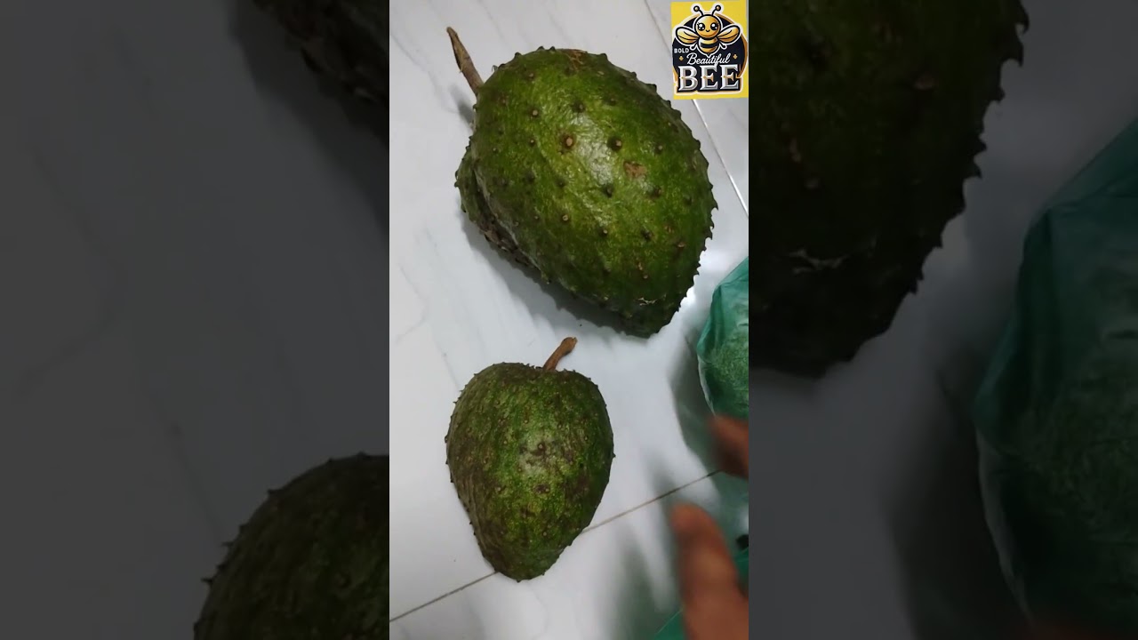 தோட்டத்து முள் சீதாபழம் 