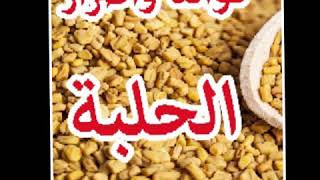 الحلبة المطحونة منافع وأضرار