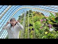 Main ke Air Terjun Di Dalam Rumah Kaca dan Tanaman Cloud Forest Singapura