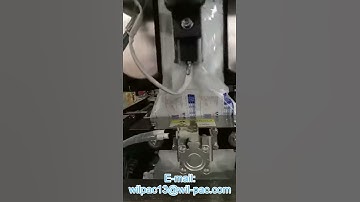 ED4230 vertical packing machine pillow bag with butterfly hole punching operation video 2 from Wilpa