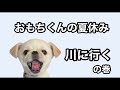 おもちくん　川に行くの巻