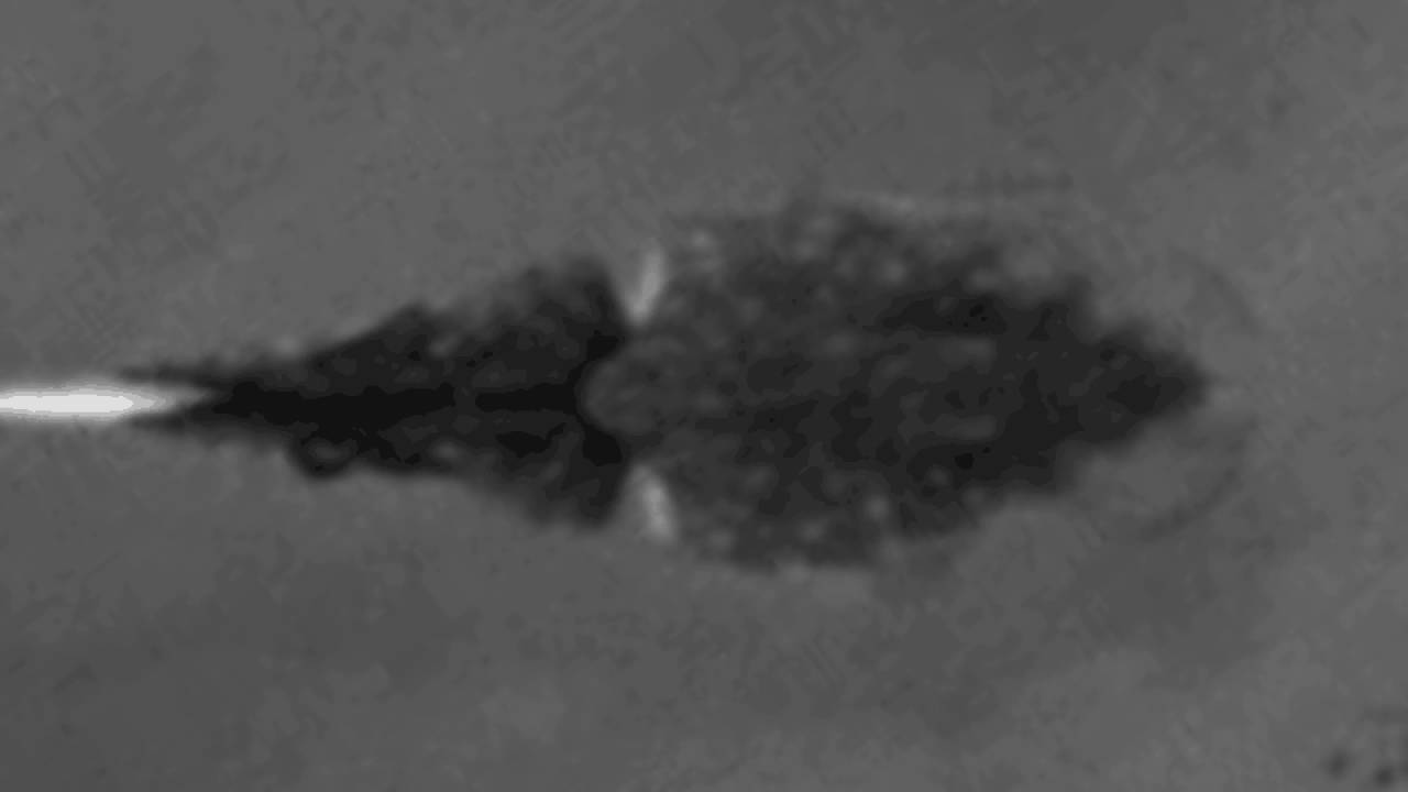 Cuttle Shuttle Analysis - Cropped and Aligned: Ender, Day 08, Tentacle Shot 03