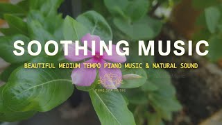 Regaining Positive Emotions Through Soothing Piano Music 🧚 Pure Spa Music #relaxingmusic #pianomusic