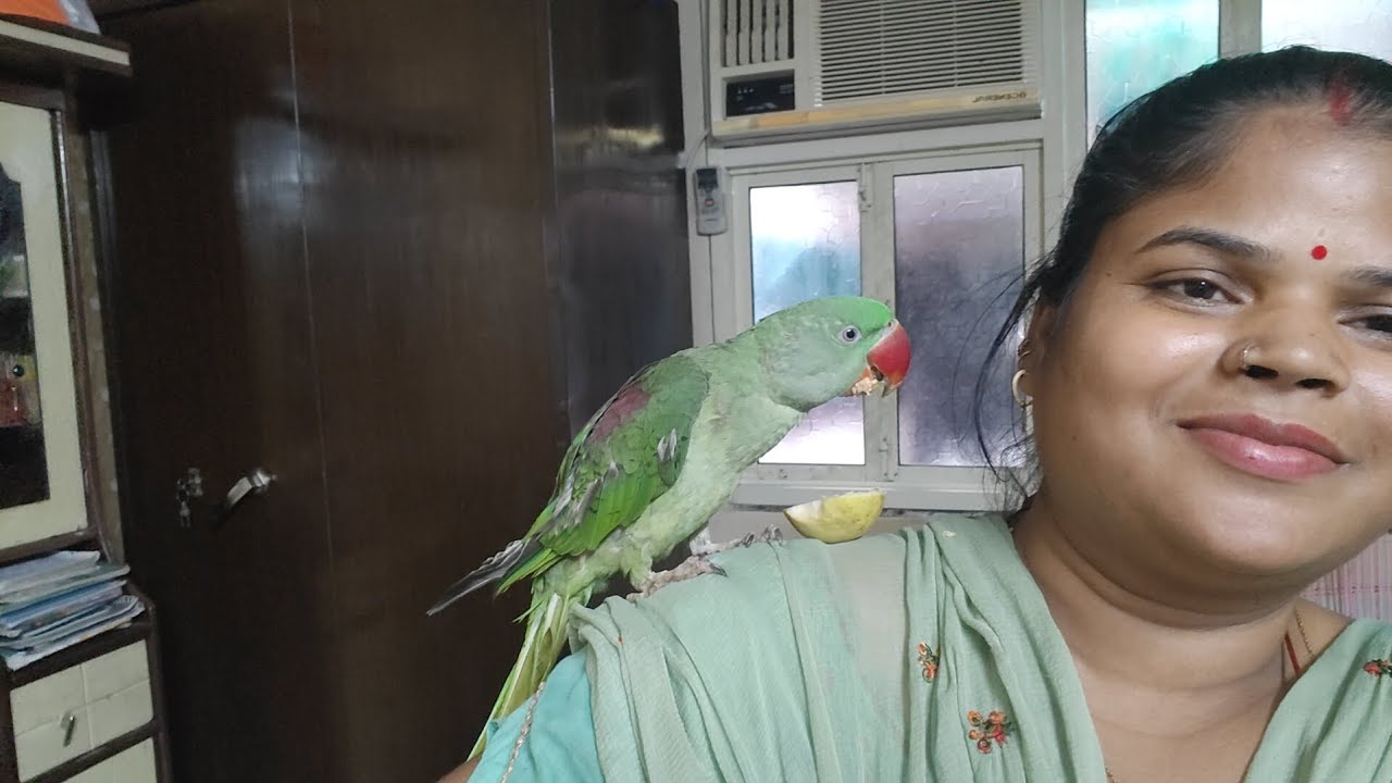 Isko kahin jagah nhi mili 