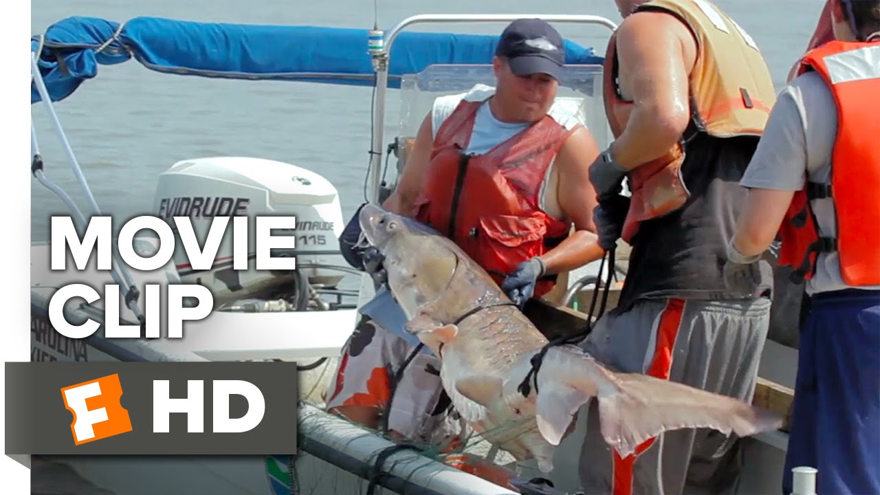 Indian Point Movie CLIP - Water (2016) - Documentary