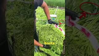 Bunu Dinleyen Herkesin Annesine Şifa Olsun