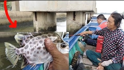 Trúng Bầy cá Nâu Sông Toàn Hàng Khủng/ Đi câu với Cần Thủ Nữ