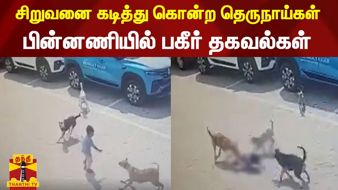 சிறுவனை கடித்து கொன்ற தெருநாய்கள்... பின்னணியில் பகீர் தகவல்கள் | hyderabad | children | dog attack