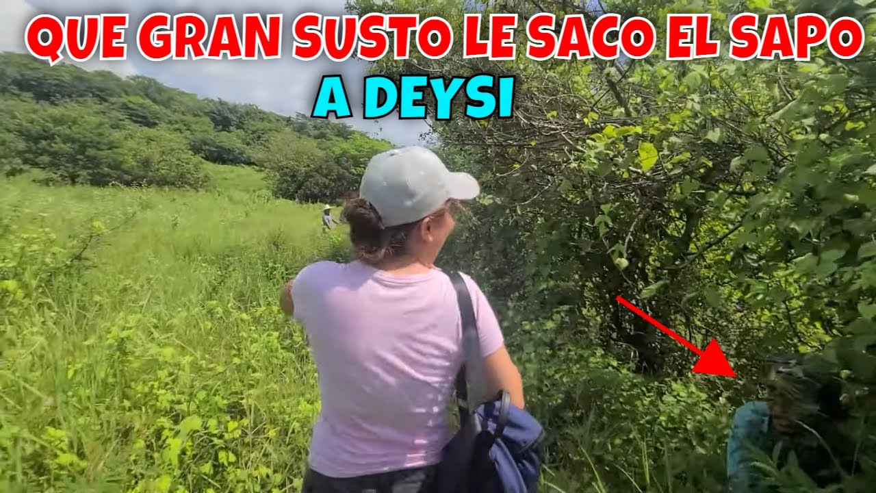 El Sapo y Deysi andan bien juguetones será que regresarán. Army dice que tiene sueños raros. Parte 4