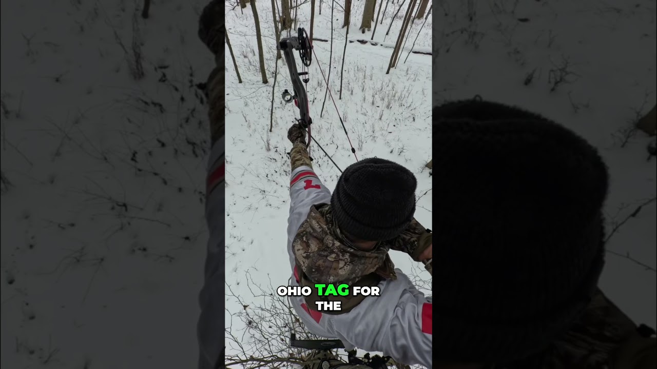 Late Season Buck Sighting: Ohio Hunter's Epic Daytime Shot! #shorts