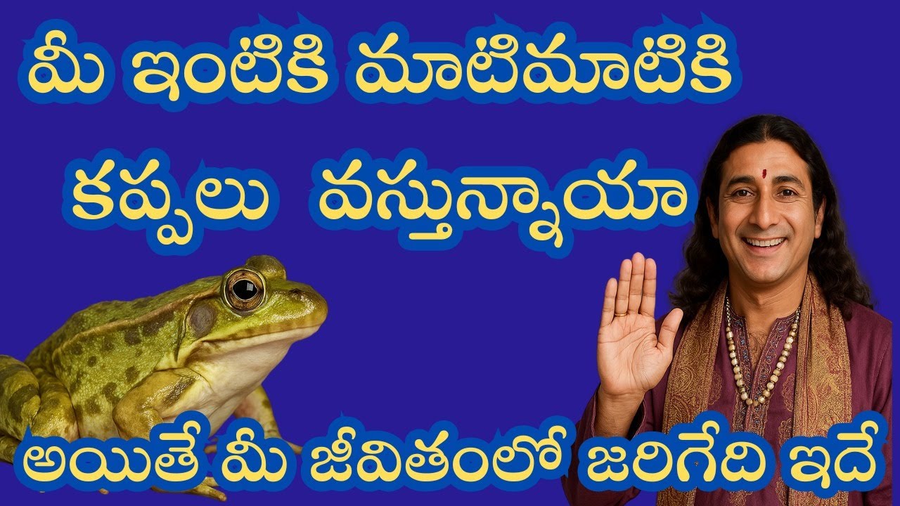 మీ ఇంటికి మాటిమాటికి కప్ప వస్తుందా అయితే మీ జీవితంలో జరిగేది ఇదే