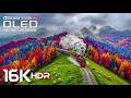 Clarity Of OLED Depth 16K Dolby Vision Demo 4K HDR 60FPS Stress Relief Music 