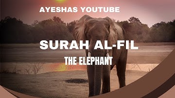 Surat Al-Fil (The Elephant) سورة الفيل |Zain Abu Kautsar, Arabic text with English translation HD|