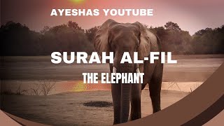 Download lagu Surat Al-Fil (The Elephant) سورة الفيل |Zain Abu Kautsar, Arabic text with English translation HD|