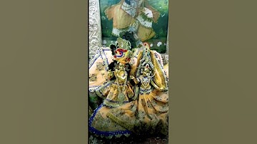 Nidhivan Vrindavan 🙏Rang Mahal Aarti Darshan