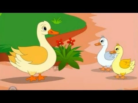 two-little-ducks---nursery-rhyme-with-lyrics