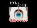 トイレ豆知識 #toilet #shorts
