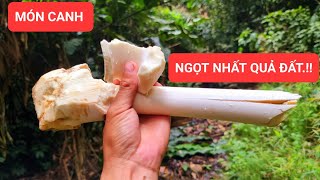 #19. Thịt Rừng Gác Bếp Nấu Chuẩn Bài Và Món Canh Đao Ngọt Nhất Quả Đất - 7 Ngày Nằm Rừng Giá Rét