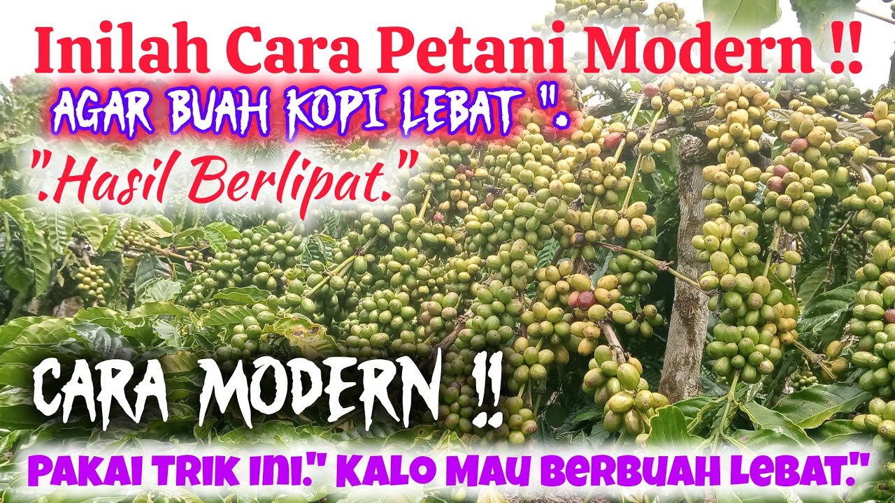 👉 PAKAI TRIK INI 
