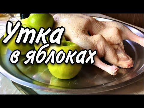 Утка в яблоках классический рецепт